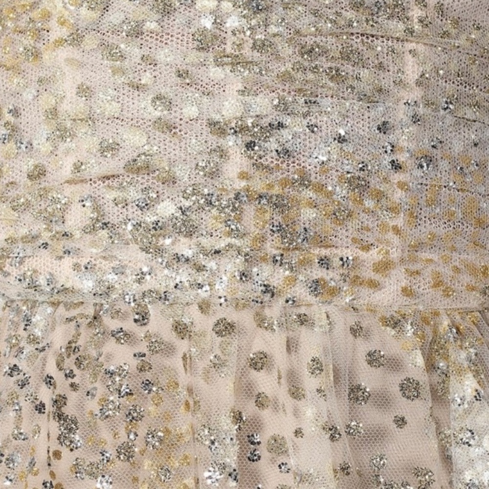 Monique Lhuillier Dress Glittery Strapless Chiffon Dress tea length size 10 - Picture 5 of 17